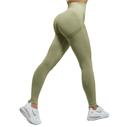Gym Pants