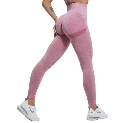 Gym Pants