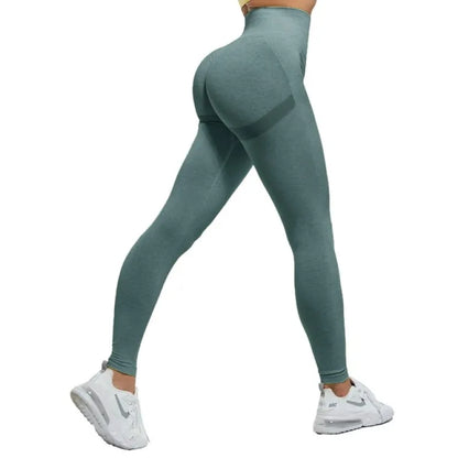 Gym Pants